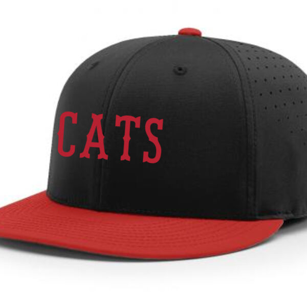 E2 - Richardson PTS30 Adult Team Performance Series Lite Cap Thumbnail